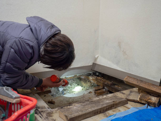 Biohazard Mold Removal in Platteville, WI