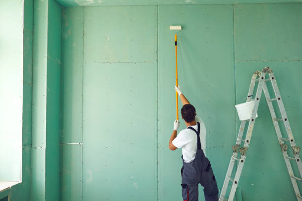 Best Mold Prevention Services  in Platteville, WI