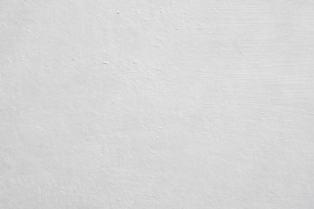 Best Mold Remediation for Healthcare Facilities  in Platteville, WI