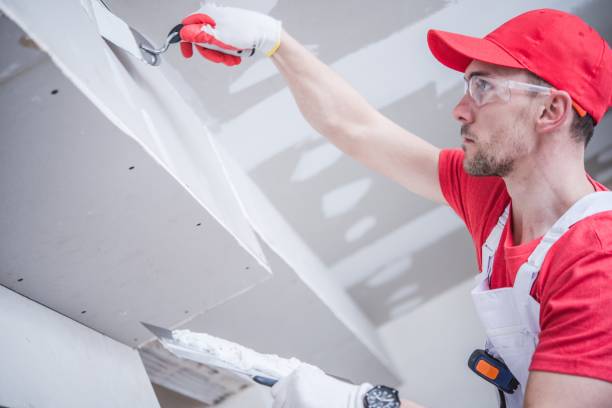Best Dehumidification Services  in Platteville, WI